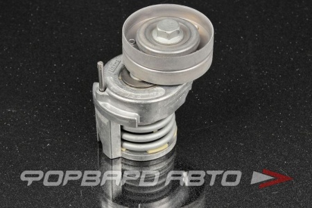Купить Натяжитель приводного ремня (Audi, Seat, Skoda, VW) INA 534 0065 10