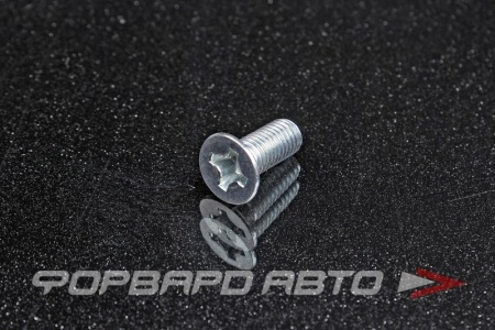 Купить Винт 8*20 (потайной) оцинк.  510K-M8-20