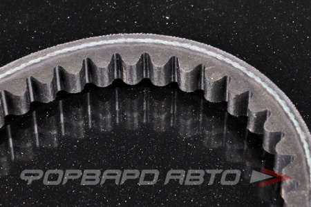 Купить Ремень клиновой 13*825LA DONGIL AVX-13X825LA