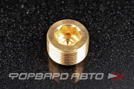 Купить Пробка сливная 22*1,5 масляного поддона под шестигранник FA1 866.360-U-01