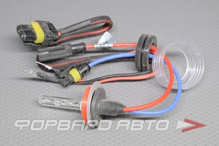 Купить Лампа ксенон H8 6000K Китай 
