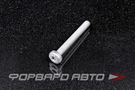 Купить Болт М6*1,0*50 VAG N10 470 703