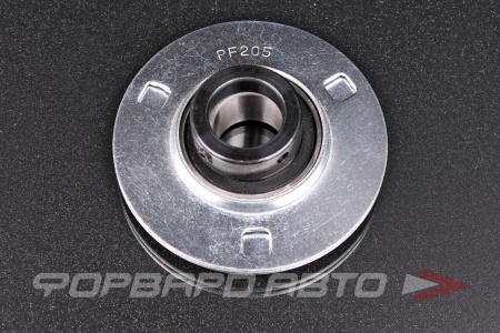 Купить Подшипниковый узел (d-25) KG SAPF205