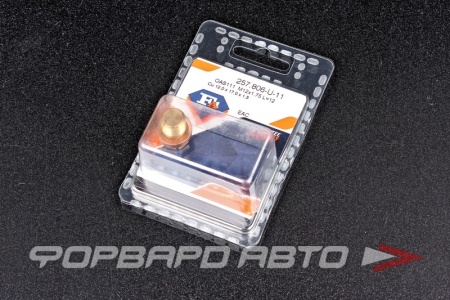 Купить Пробка сливная 12*1,75 масляного поддона (L-12мм) FA1 257.806-U-11