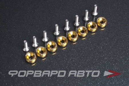 Купить Болт с декоративной шайбой М6 (8 шт) золотый CSK PERFOMANCE ABFW-M6-GOLD