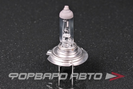 Купить Лампа H7 12V 55W PX26d 3200K Standard EXCELITE EXCELITE 10700