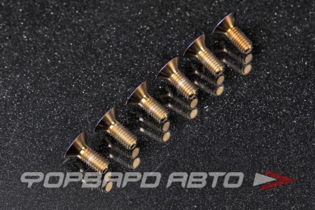 Купить Комплект винтов М5*12 под внутренний шестигранник с потаем, для крепления к адаптеру рулевого колеса, титан GREDDY 16600006