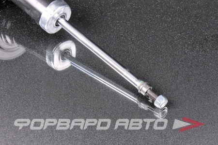 Купить Амортизатор задний MILES DG00681-01