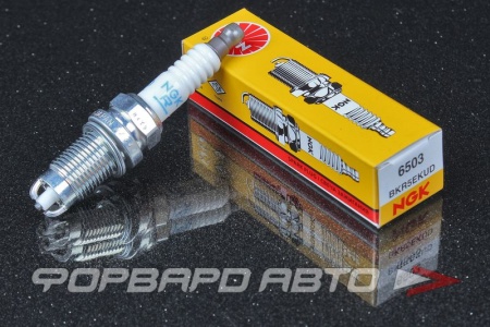 Купить Свеча зажигания NGK 6503