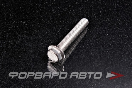 Купить Болт М10*1,5*60 ДИН 6921 А2 нерж. шестигр. гол. с фланцем <> 