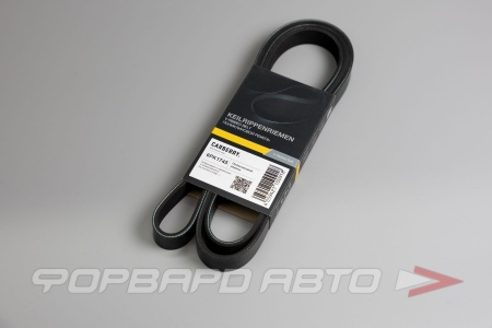 Купить Ремень поликлиновой CARBERRY 6PK1745