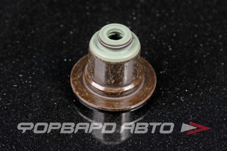 Купить Колпачок маслосъемный NOK BV6569-H0