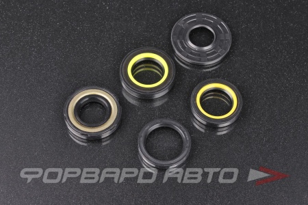 Купить Ремкомплект рулевой рейки (Ford Focus, C-Max, S-Max) Motorherz HKZ0010