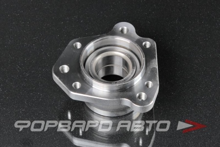 Купить Ступица заднего колеса 43*80,5 NTN HUB189-2