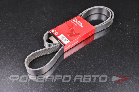 Купить Ремень поликлиновой DONGIL 8PK1538