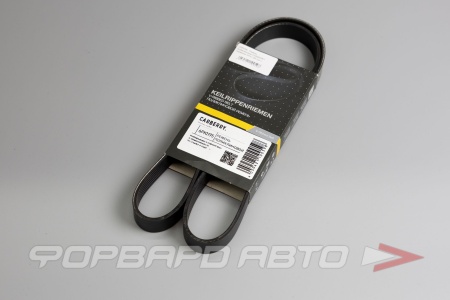 Купить Ремень поликлиновой CARBERRY 6PK1195