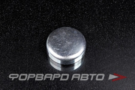 Купить Заглушка блока двигателя WPw-34мм  