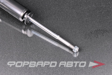 Купить Амортизатор передний MILES DG02086