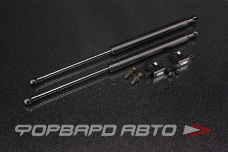 Купить Амортизаторы капота INFINITI G37 2007+ AUTOBAHN88 