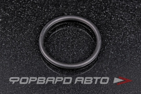 Купить Кольцо уплотнительное системы охлаждения VAG WHT 001 688