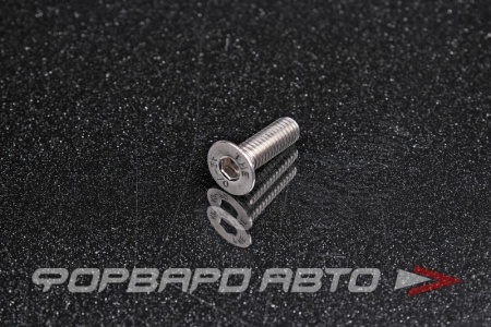 Купить Винт потайн. гол. внутр. шестигр. М6*20 DIN 7991 нерж. А2  DIN 7991