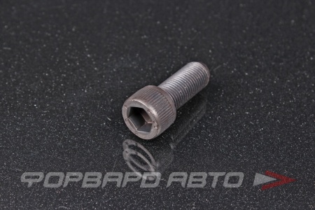 Купить Винт цилиндр. с внутренним шестигранником М12*1,25*30 DIN912 высокопр. пр.12.9  00041033