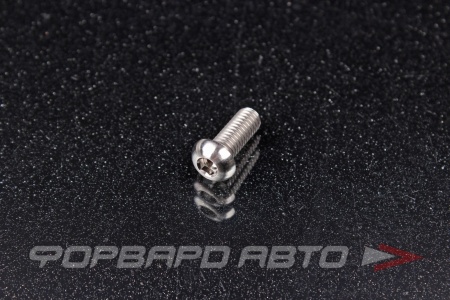Купить Винт M6*1*16 титановый полукруглая головка, внутренний шестигранник FORA TITANIUM ISO7380-6*16Ti