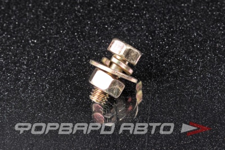 Купить Болт М6*1,0*13 с гайкой. цинк MASUMA BJ-009