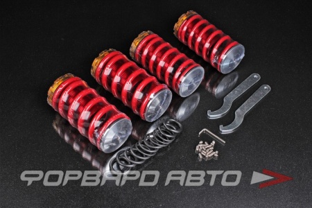 Купить Пружины с занижением для Honda Civic 1988-2000 EPMAN TK-SP001