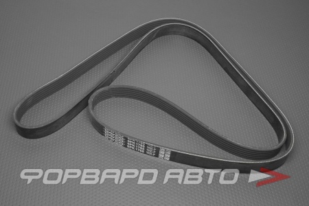 Купить Ремень поликлиновой DAYCO 6PK1765