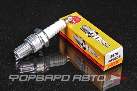 Купить Свеча зажигания NGK 3570