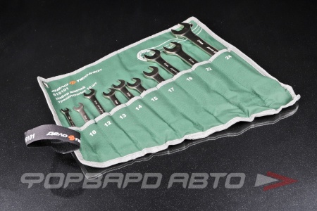 Купить Набор ключей комбинированных трещоточных 8-24 мм 10 предметов ДЕЛО ТЕХНИКИ 515101