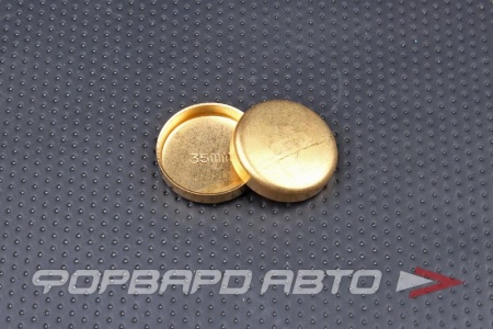 Купить Заглушка блока двигателя WPB-35мм  