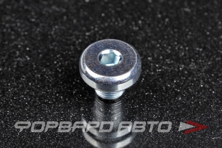 Купить Пробка сливная 10*1,0 масляного поддона VAG WHT 000 310 A Купить Пробка сливная 10*1,0 масляного поддона VAG WHT 000 310 A