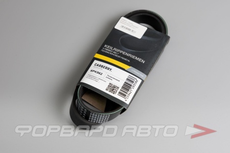 Купить Ремень поликлиновой CARBERRY 6PK962