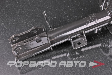 Купить Амортизатор передний, левый MILES DG111061
