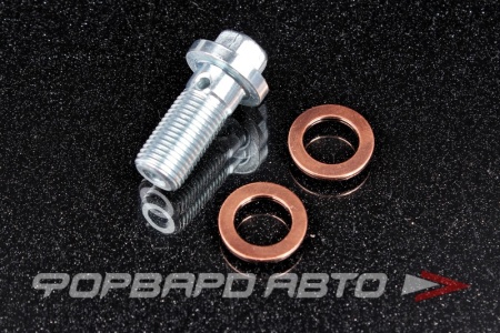 Купить Болт BANJO М10*1,0*23 с шайбами, SW10 FA1 989-10-010