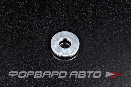 Купить Шайба D10*25*2 плоская БелЗАН 00001-0026468-019