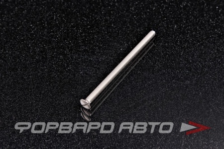 Купить Винт полупотай/гл. прямой шлиц М4*70 А2  