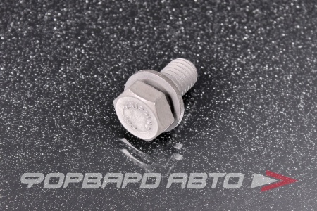 Купить Болт М8*1,25*16 BMW 07 11 9 913 976