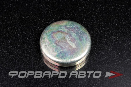 Купить Заглушка блока двигателя WPw-50мм  