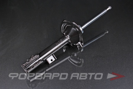 Купить Амортизатор задний, левый MILES DG11041-01