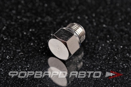 Купить Заглушка М8 форсунки водометанольной системы AQUAMIST 806-358 Купить Заглушка М8 форсунки водометанольной системы AQUAMIST 806-358