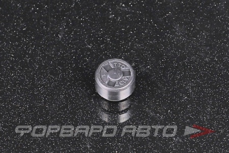 Купить Заглушка D 10 (0*10*5) TTO A137