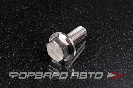 Купить Болт М10*1,25*25 титановый с фланцем FORA TITANIUM DIN6921-10*1.25*25Ti