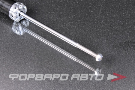 Купить Амортизатор задний MILES DG02621