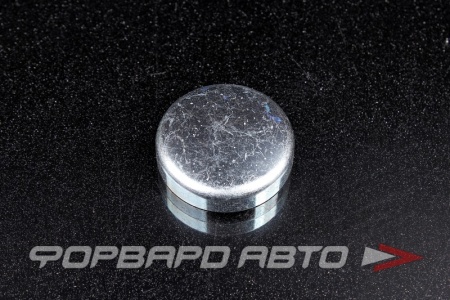 Купить Заглушка блока двигателя WPw-36мм  