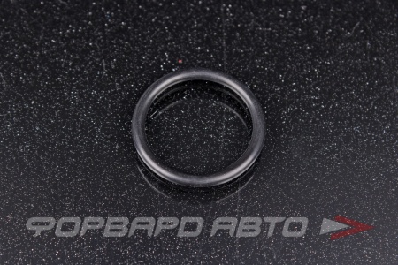 Купить Кольцо форсунки  ISF 2.8 Газель 22*2,5 CUMMINS 4058941