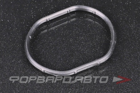 Купить Прокладка термостата ROSTECO 20875