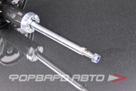 Купить Амортизатор передний, правый MILES DG21037-01